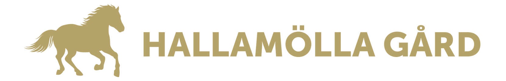 Level One Logo