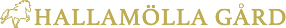 Level One Logo